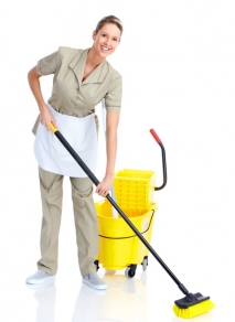 Environmentally Friendly Cleaning: Making Your Home and the World a Better Place