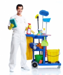 Using Lemon And Salt For Upholstery Cleaning