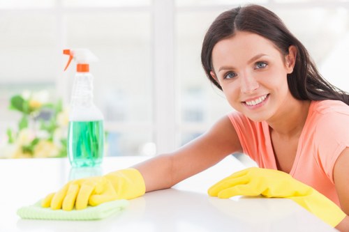 Window cleaning in Ilford for bright and spotless property windows