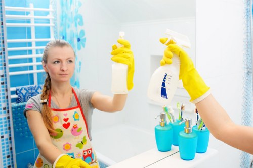 Professional cleaning company in Ilford serving homes and businesses