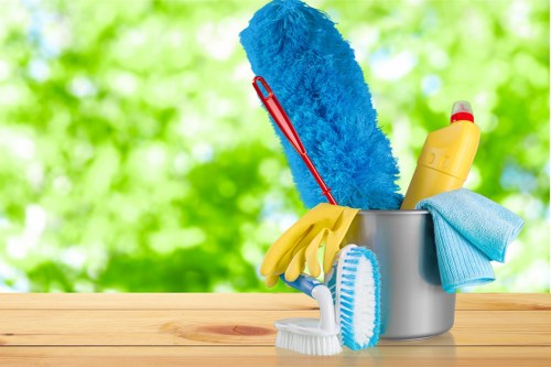 Professional carpet cleaner in Ilford using deep cleaning equipment