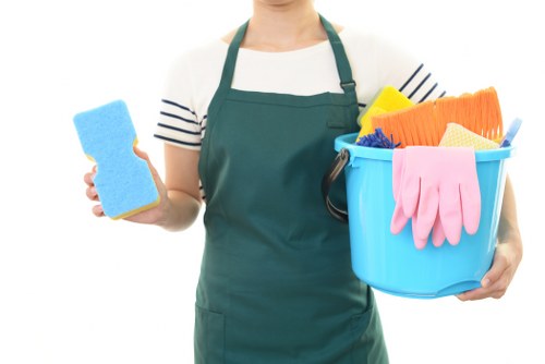 Professional home cleaners in Ilford working in a living room
