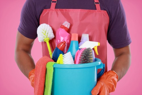 Professional cleaning support in Ilford