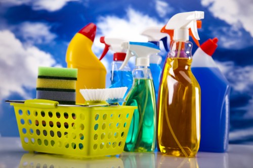 Professional Ilford cleaners carrying out a thorough home cleaning service