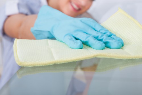 Cleaner maintaining a hygienic living room in Ilford