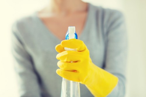 Professional cleaners in Ilford servicing a home interior